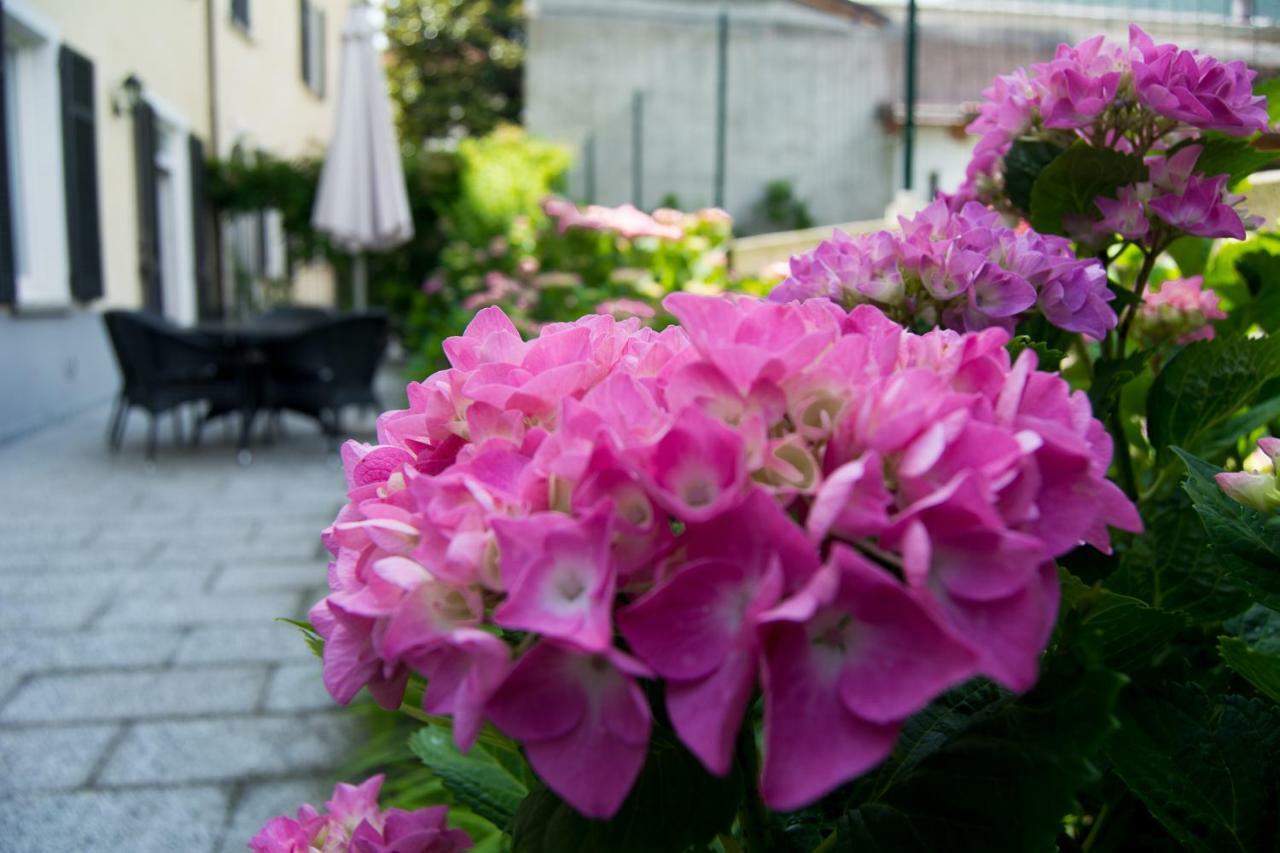 Giardino Delle Ortensie Lejlighed Cannobio Eksteriør billede